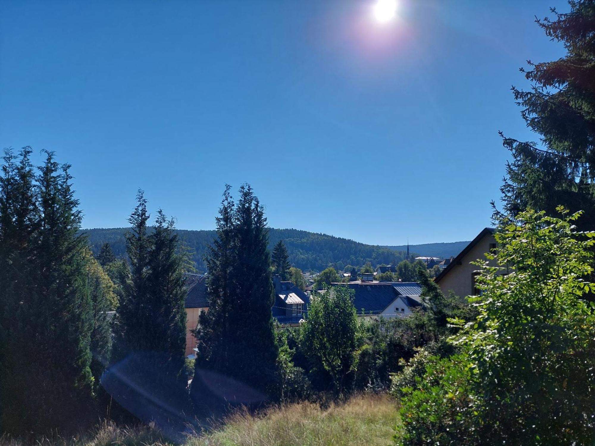 Villa Helvetia Бад Елстер Екстериор снимка