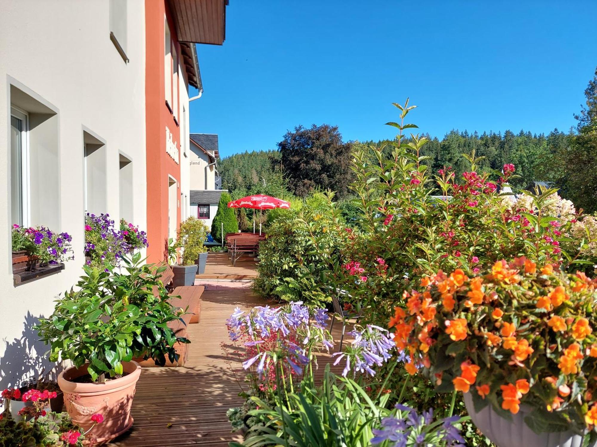 Villa Helvetia Бад Елстер Екстериор снимка
